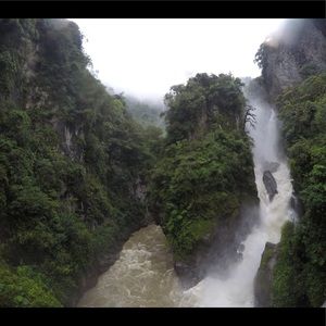 Meet your Posher, Jasmin